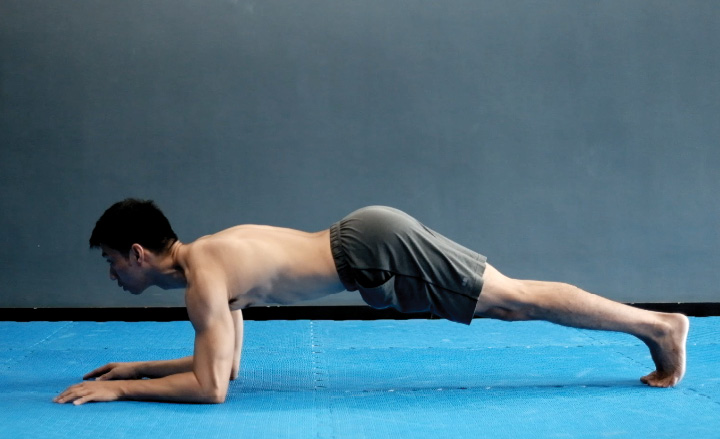 Forearm Plank Posterior Pelvic Tilt End