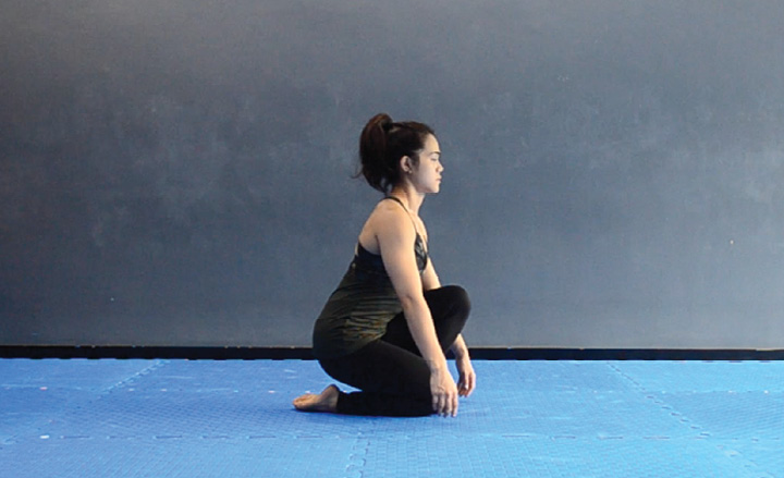 Speed Skater Squat 2 Speed Skater Squat End