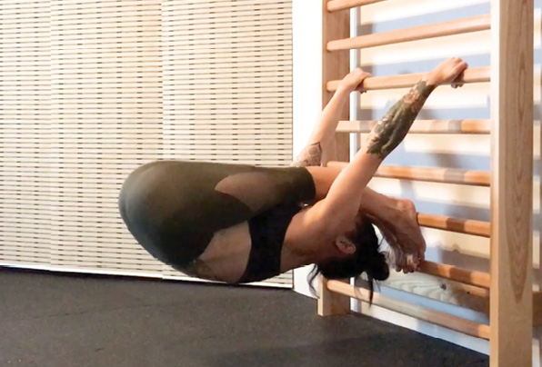 Inverted Pike Pull