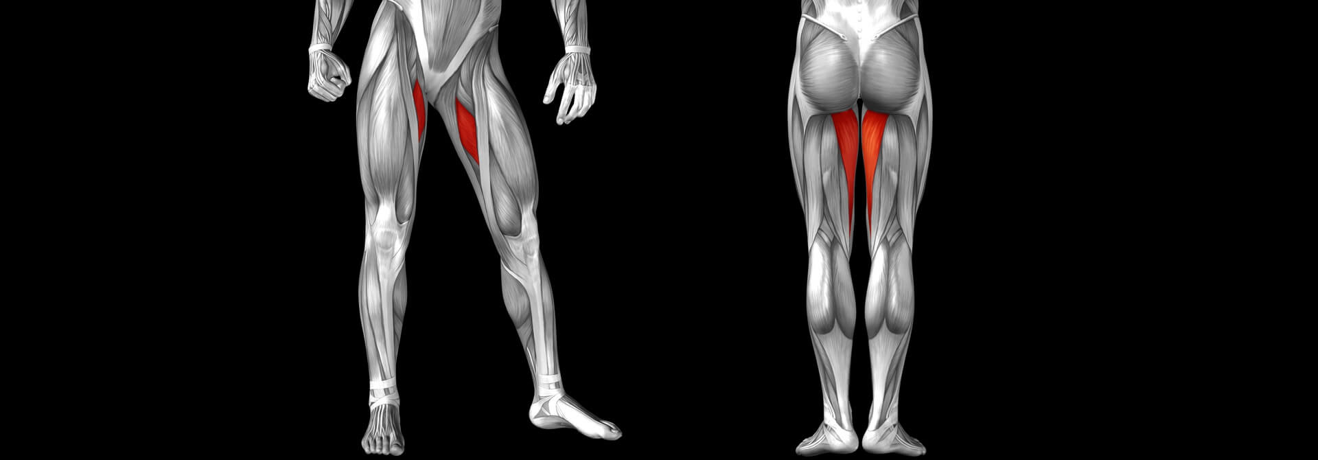 A Quick and Easy Fix For Tight Adductors - GymnasticBodies
