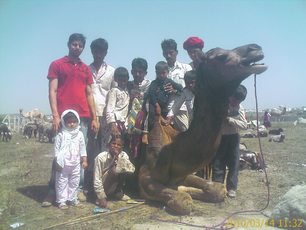 Rib Cage Expansion Strength GymnasticBodies