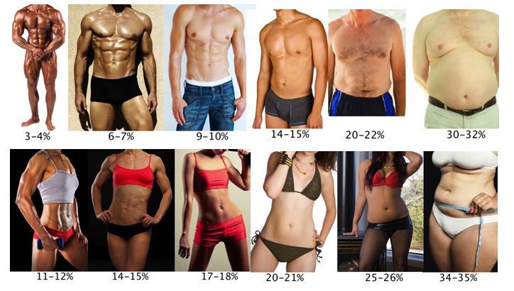 body-fat-percentage-levels.jpg.76d9589332a5cefff41b2824b2f7bbf6.jpg