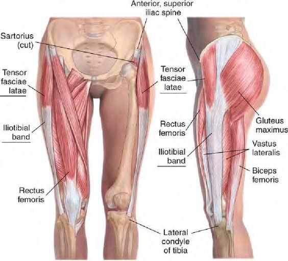 tensor-anatomy.jpg.b2675a69c4a5cf19242fdb01e154c67d.jpg