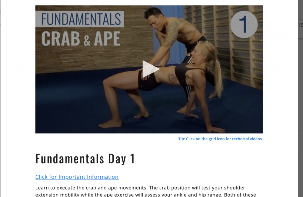 Screen Shot 2020-08-12 at 3.59.02 PM.png