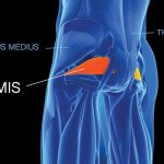 piriformis stretch