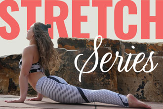 gymfit tv by gymnasticbodies gymnastic bodies pdf
