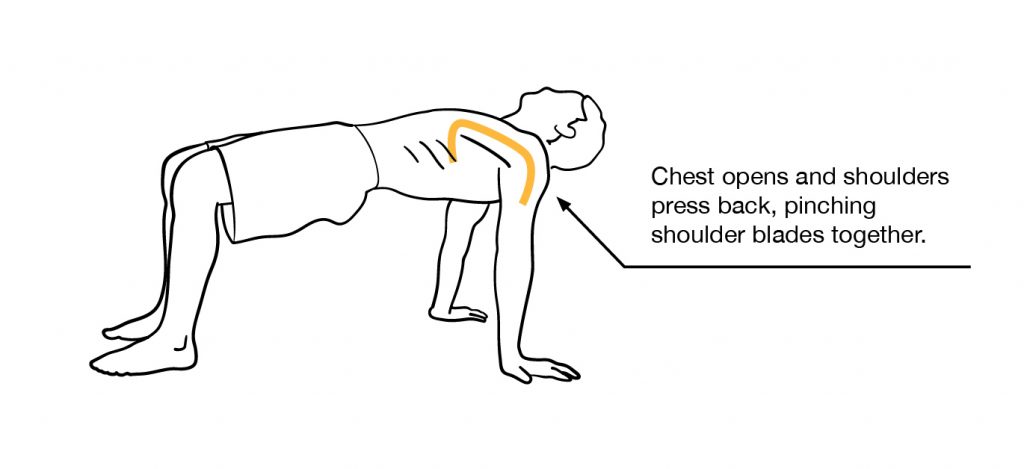 table exercise hold