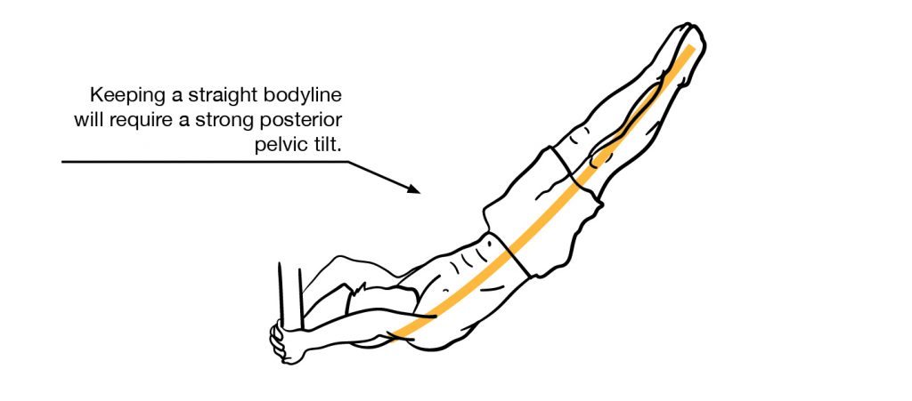 the body lever is a full-body core exercise