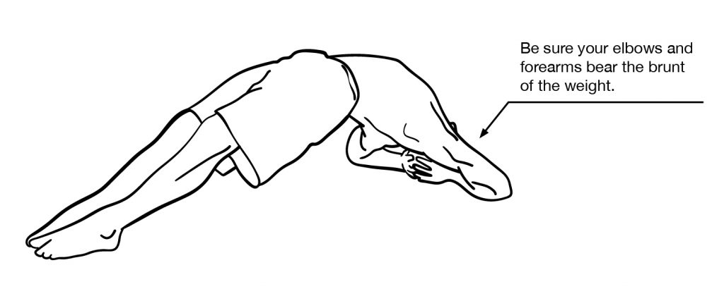 elbow bridge
