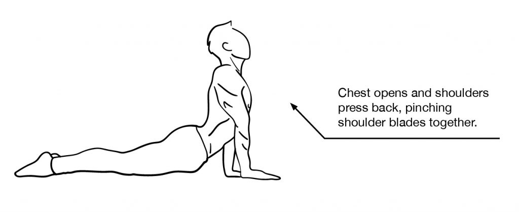 suspended seal stretch