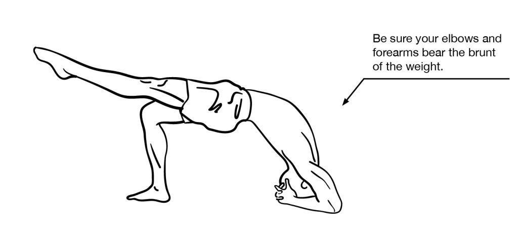 single leg elbow bridge