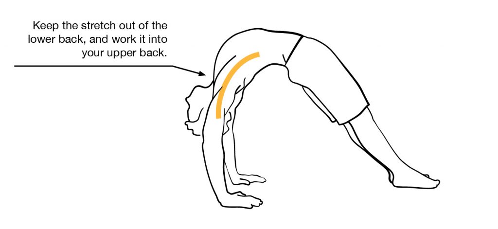 The Thoracic Bridge is an advanced active mobility exercise