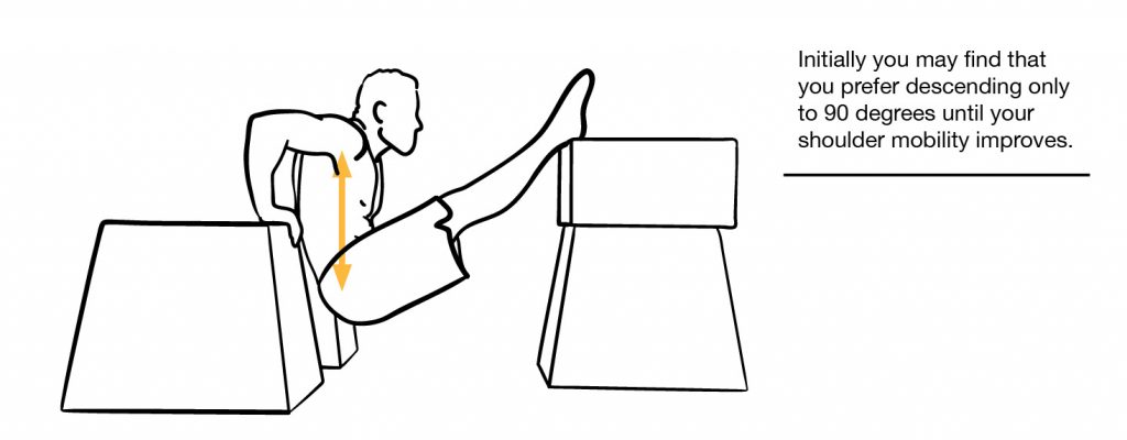 the bench dip is a basic dip progression