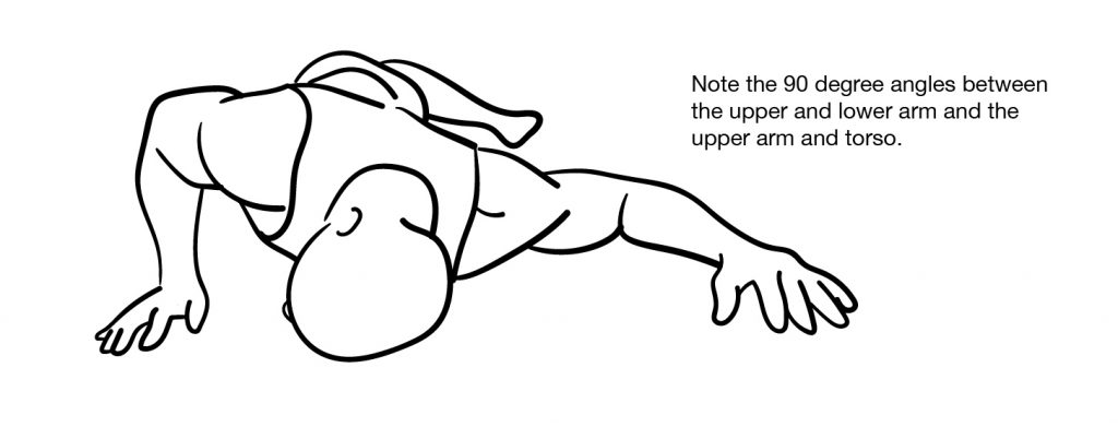 Cactus stretch