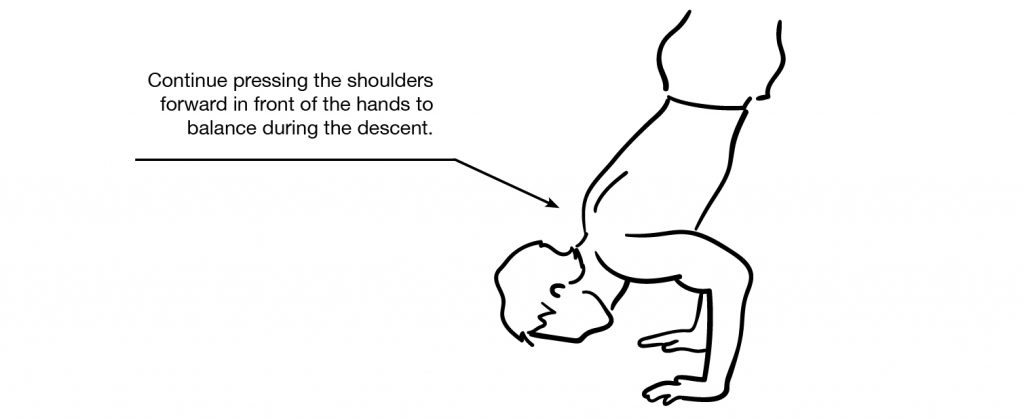handstand chest roll