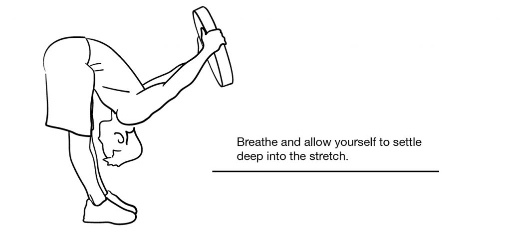 weighted shoulder extension hang
