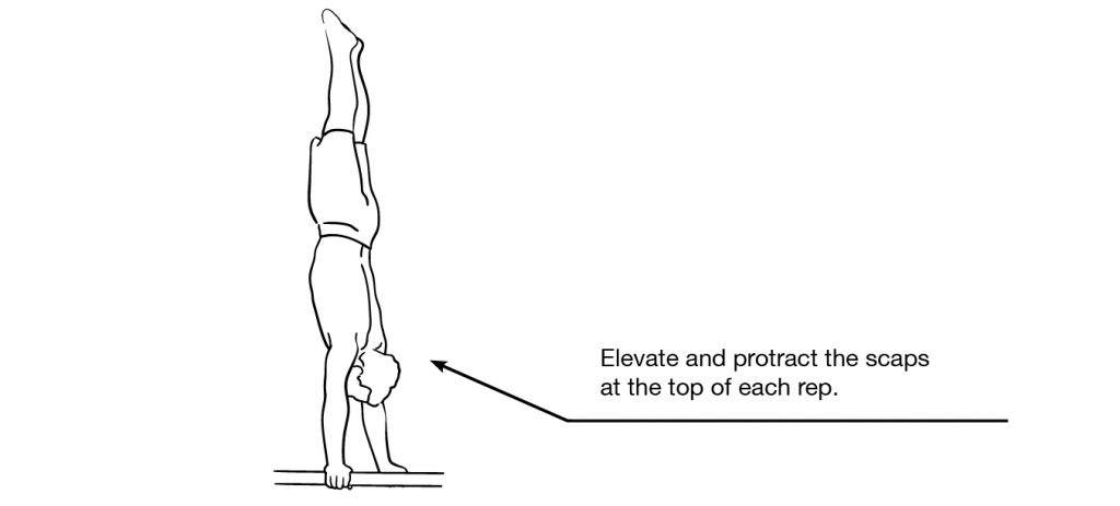 wall handstand push-up