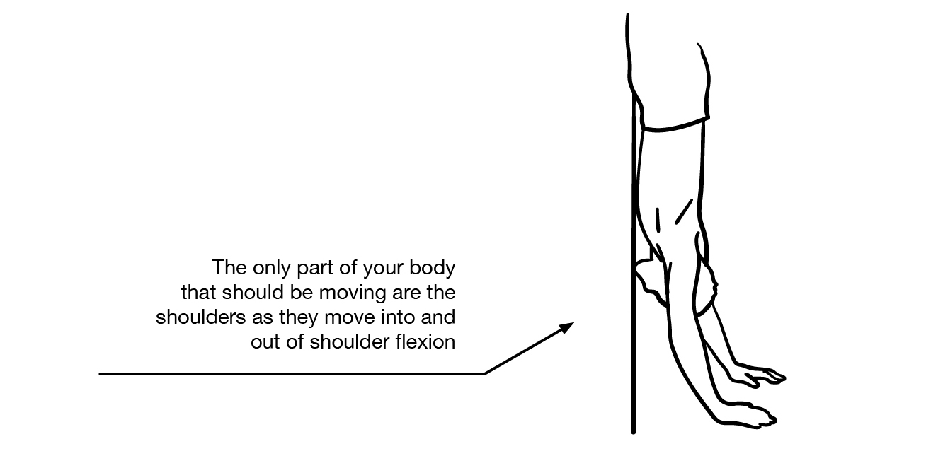 Handstand Shoulder Flexion Press