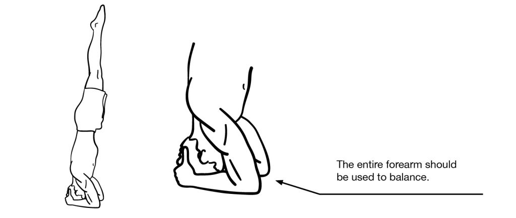 Forearm Stand
