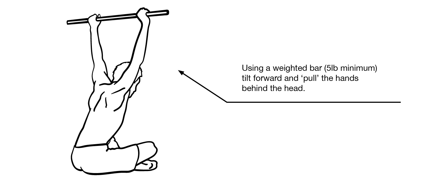 Seated Weighted Shoulder Flexion