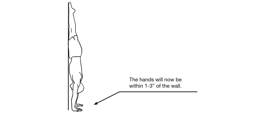 Wrist Wall Handstand