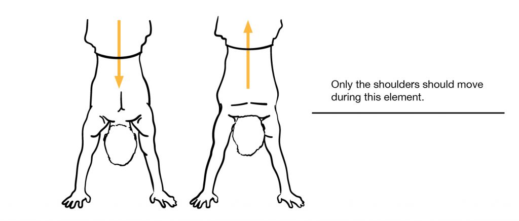 Free Handstand Shrug