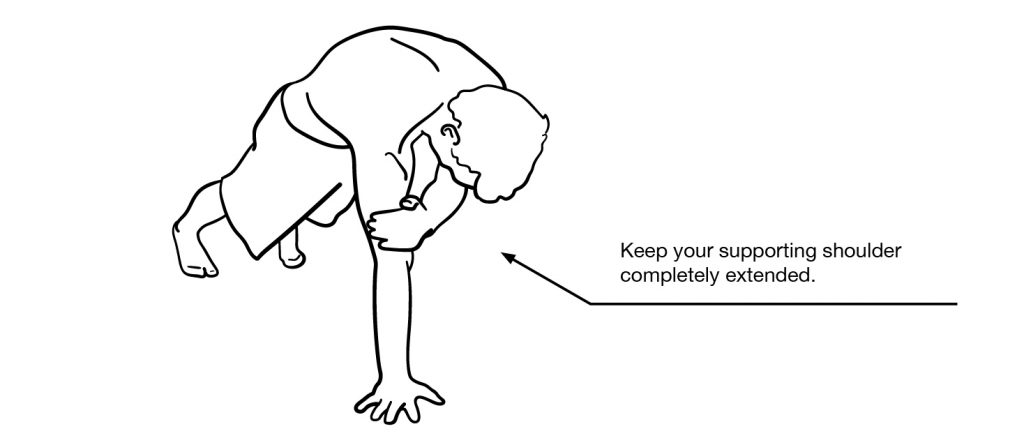 Single Arm Plank