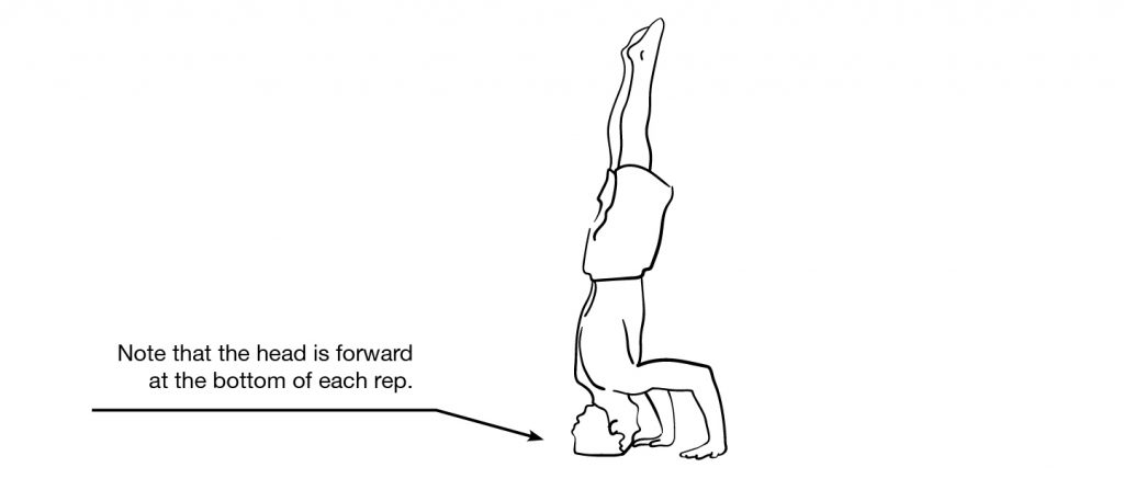 Free Headstand Push-Up