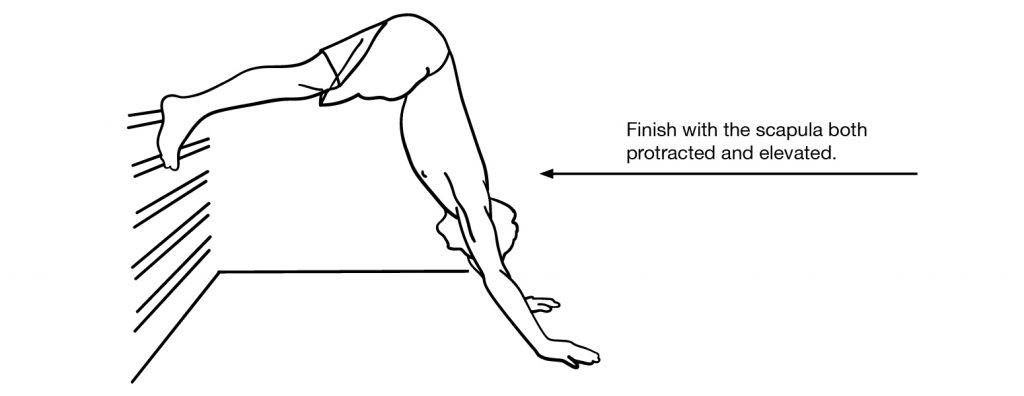 Plank Press