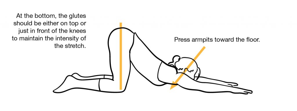 Cat Stretch