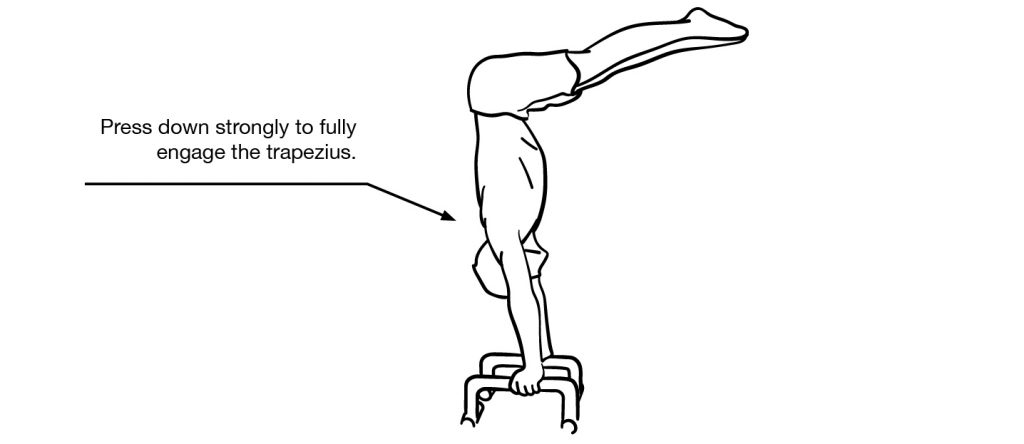 Negative Standing Pike Press Handstand