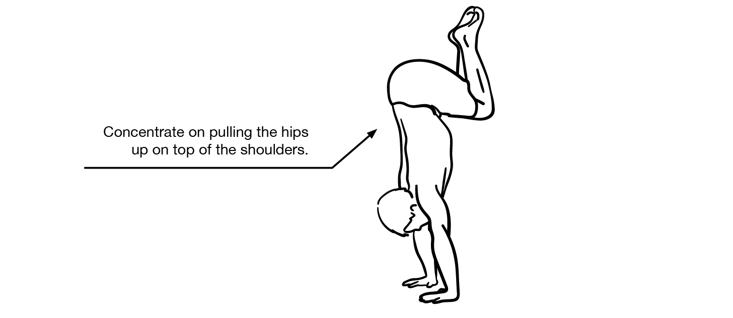 Standing Tuck Press Handstand 3 Standing Tuck Press Handstand
