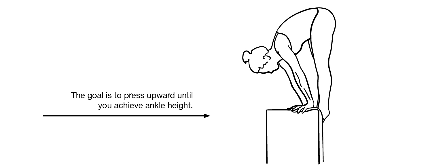 Vertical Press to Ankles