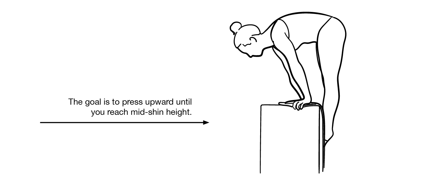 Vertical Press to Shins