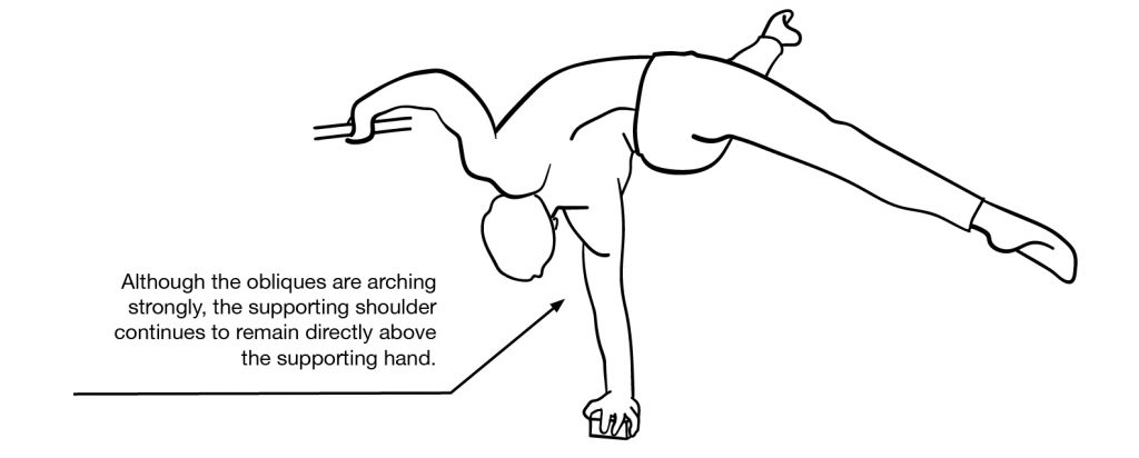 Assisted 1 Arm Flag Pull