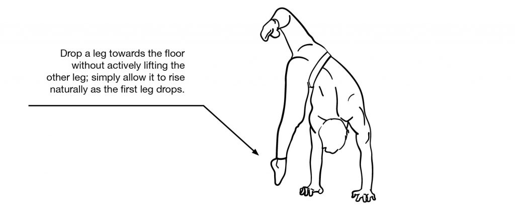 Handstand Flag
