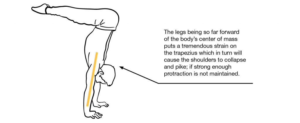 Pike Handstand