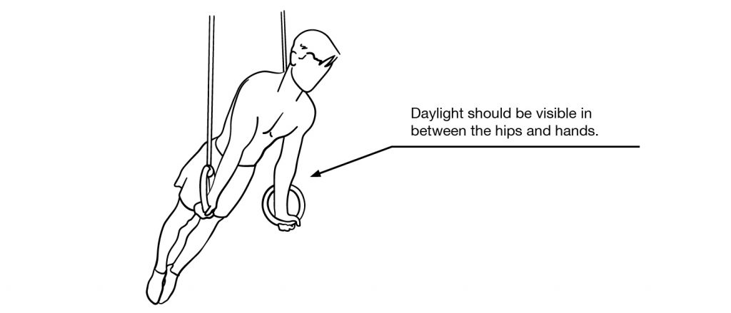 Ring Support Swing