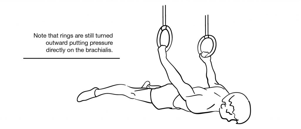 Straddle Back Lever