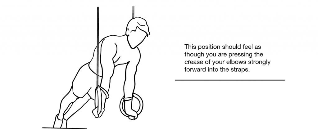 Strap Ring Plank