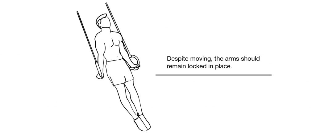 Swinging Ring Support