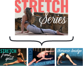 Mobility stretch courses